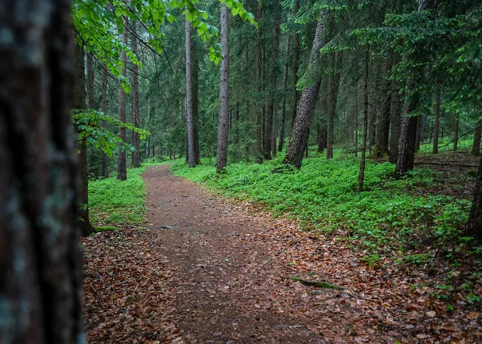 Appartement Wandern Im Bayernwald