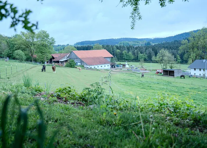 Wandern Im Bayernwald *