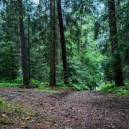 Sauna Und Wandern Im Bayernwald * Regen