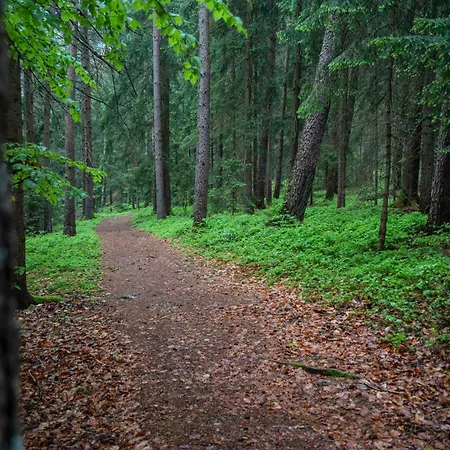 Apartment Sauna Und Wandern Im Bayernwald