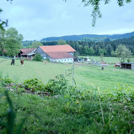 Sauna Und Wandern Im Bayernwald *